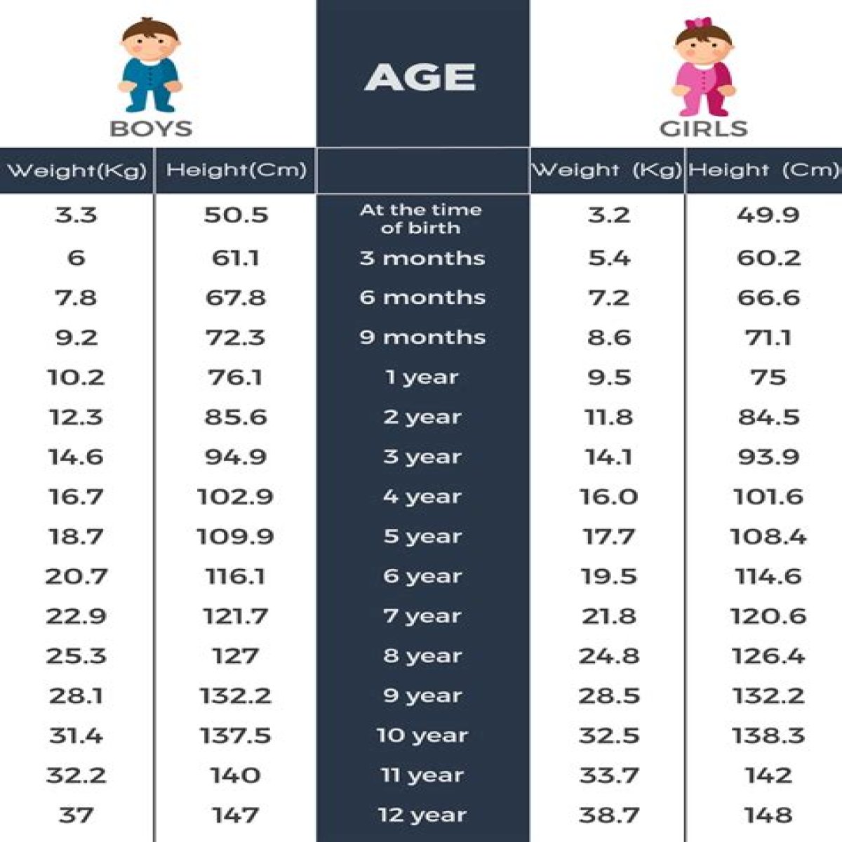 Behind The Height, Weight, Age, And More!