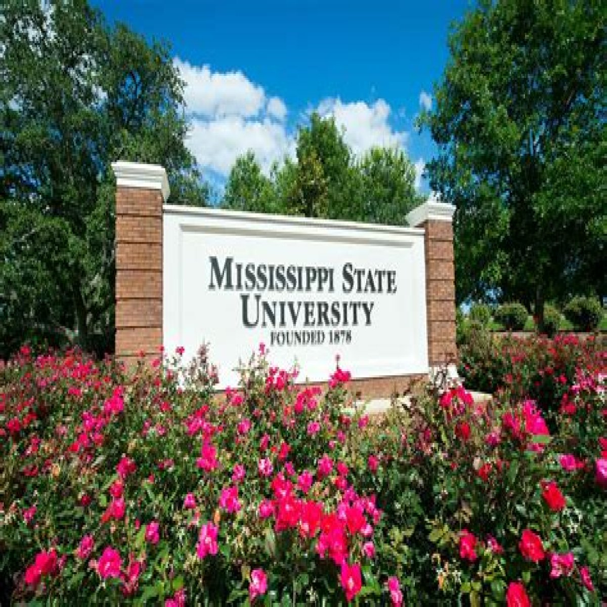 Graduate Faculty < Mississippi State University
