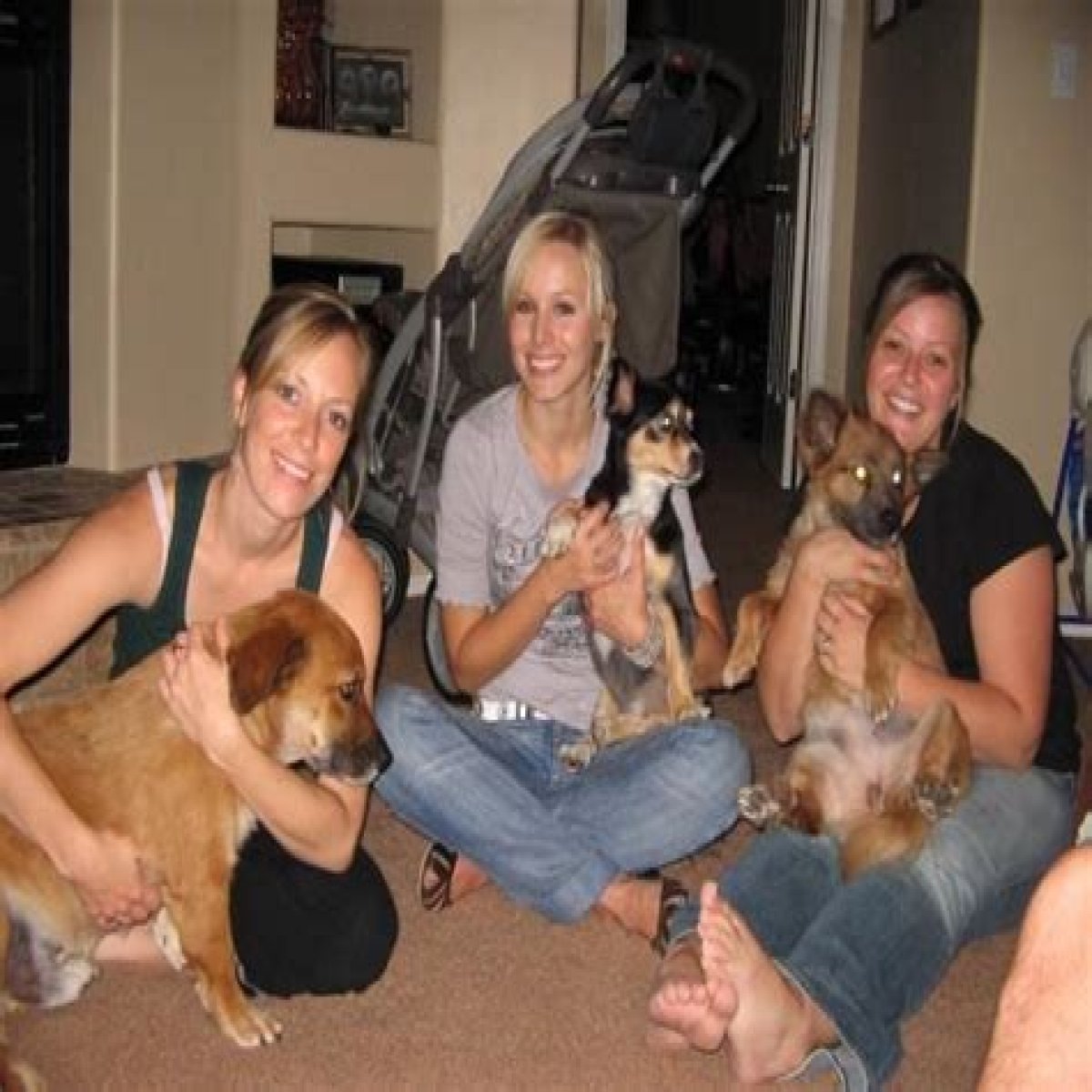 Meet Megan Avedian, Sara Bell, Laura Avedian, Jody Bell, John Avedian, Matt Avedian