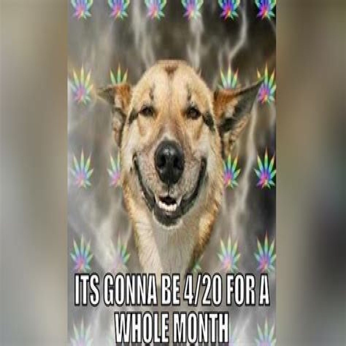 Memes to Celebrate 4/20 All Month Long