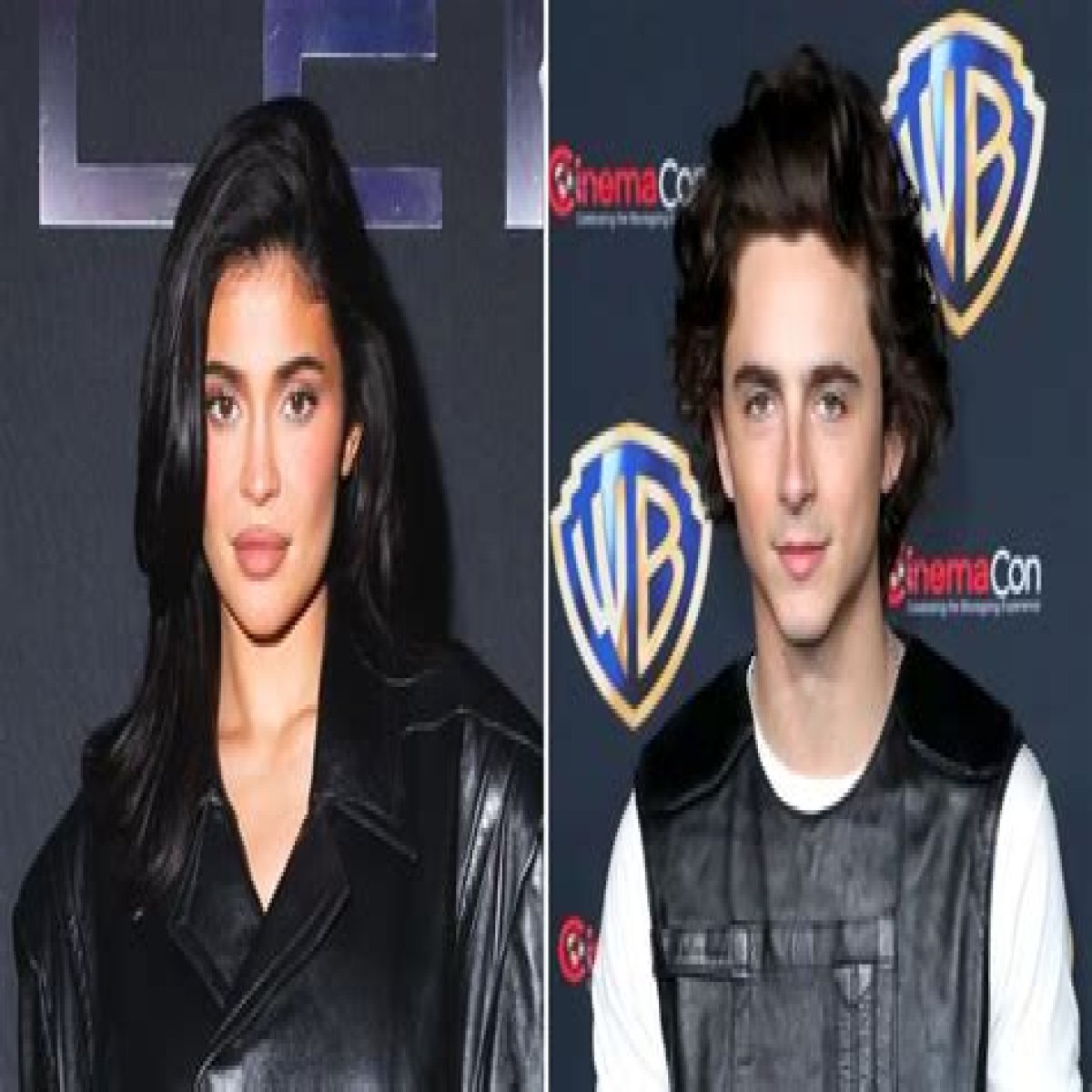 Unveiling The Mystery: Whos Timothee Chalamet?
